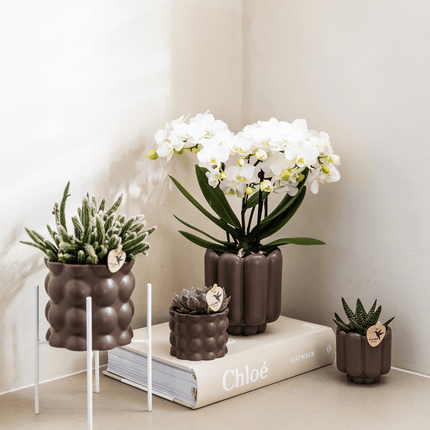 Retro Pflanztopf – Braun – Ø6cm – Dekorativer Mini – Übertopf aus Keramik – Blumentopf mit Rillenstruktur für Orchideen & Grünpflanzen