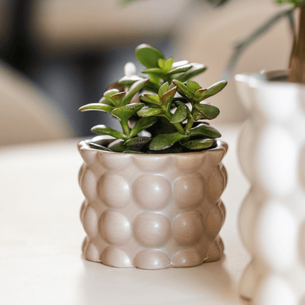 Blumentopf Cotton – Sand – Ø6cm – Kleiner Keramik Pflanztopf in matter Optik – Stilvoller Übertopf im Slow Living Design für Mini
