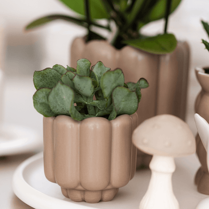 Retro – Ziertopf Sand Ø6cm – Runder Blumentopf mit Rillenstruktur – Übertopf im Vintage – Design – Mattes Finish für Mini