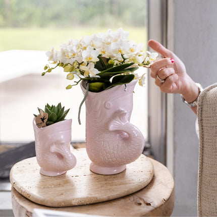 Weiße Orchidee Nazaré – Ø9cm – Zimmerpflanze im sommerlichen Fischtopf Rosa – Elegante Blüten für Wohnzimmer & Esstisch
