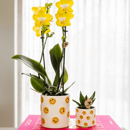 Smiley Übertopf Ø9cm – weißer Blumentopf mit gelben Smileys – Pflanztopf für Mini – Orchidee, Kaktus & Zimmerpflanzen – Gute