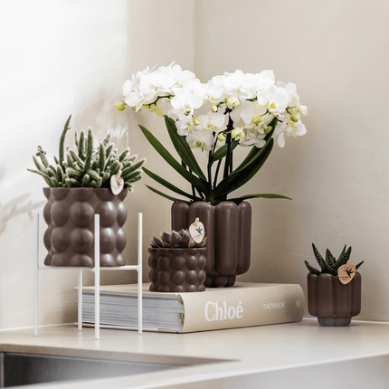 Retro Pflanztopf – Braun – Ø6cm – Dekorativer Mini – Übertopf aus Keramik – Blumentopf mit Rillenstruktur für Orchideen & Grünpflanzen