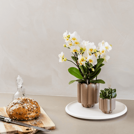 Retro – Ziertopf Sand Ø9cm – Runder Übertopf mit Rillenstruktur – Blumentopf im Vintage – Design – Mattes Finish für Zimmerpflanzen & Orchideen