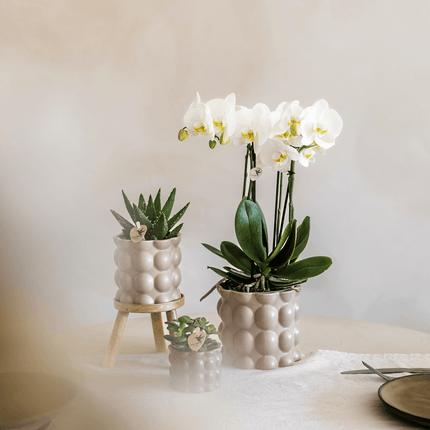 Topf Baumwolle – Sand – Ø9cm – Übertopf mit organischer Rillenstruktur – Keramik – Blumentopf für Orchideen & Zimmerpflanzen