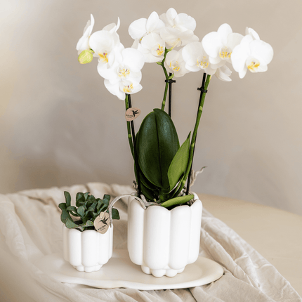 Retro Pflanztopf – Weiß – Ø9cm – Übertopf aus Keramik – Slow Living Kollektion – Blumentopf mit Rillenstruktur