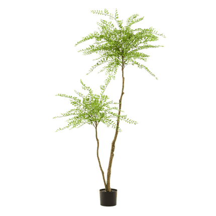 Kunstpflanze Sophora Baum – Honingbaum – 190cm – Dekorativer Zimmerbaum – Pflegeleicht – Wohnzimmer, Büro & Flur