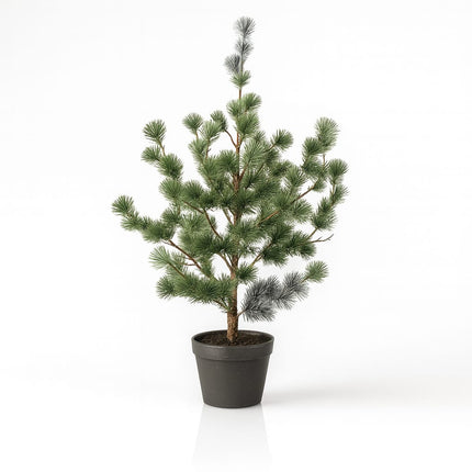Zeder – Kiefer 80cm – Künstliche Pflanze – Realistische Cedar Pine Optik – Immergrün & pflegefrei – Winter – & Weihnachtsdeko für Wohnzimmer Büro Flur