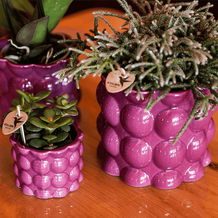 Übertopf Cotton Shine lila Ø6cm – Mini Blumentopf mit Blasenrelief – hochglänzender Retro – Übertopf im 70er – Design – Zimmerpflanzen