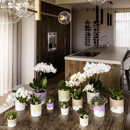 Ziertopf Bloom Sand – Dekorativer Blumentopf Ø12cm – Natürlicher Übertopf mit Blütenstruktur – Design Pflanztopf für Zimmerpflanzen Kräuter & Deko