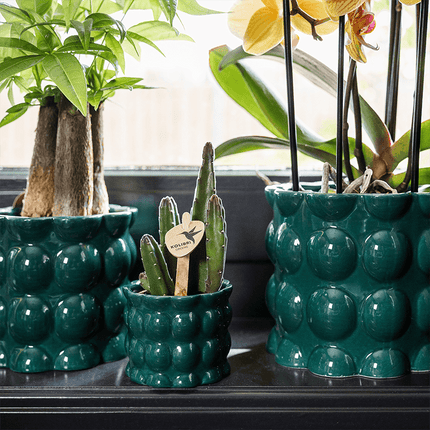 Übertopf Cotton Shine grün Ø6cm – Mini Blumentopf mit Blasenrelief – hochglänzender Retro – Übertopf im 70er – Design – Zimmerpflanzen