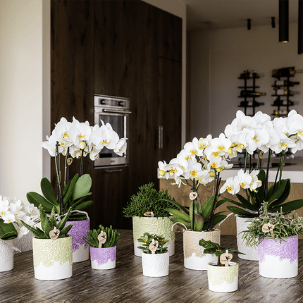 Ziertopf Bloom Green – Dekorativer Blumentopf Ø6cm – Mini Übertopf mit Blütenstruktur – Moderner Pflanztopf in Grün für Sukkulenten Kakteen & Deko