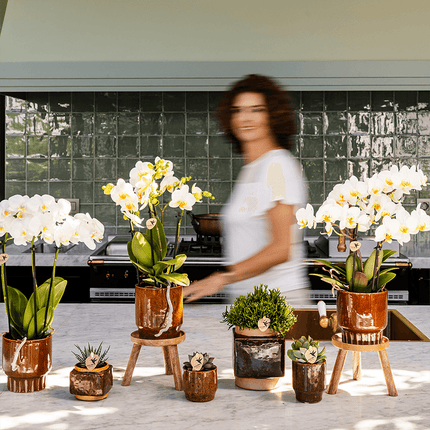 Ziertopf Classy Cube – Braun – Ø6cm – Quadratischer Keramik Blumentopf in glänzender Optik – Übertopf im Retro – Stil für Mini