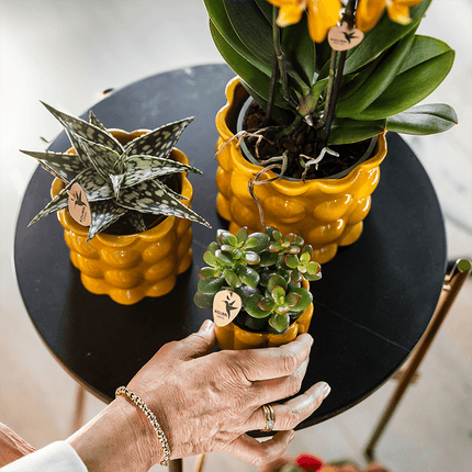 Übertopf Cotton Shine gelb Ø9cm – Blumentopf mit Blasenrelief – hochglänzender Retro – Übertopf im 70er – Design