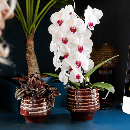 Übertopf Moonstone Burgundy Ø12cm – eleganter Keramik Blumentopf in Burgundrot – fein geschichtete Glasur mit dezentem Glanz