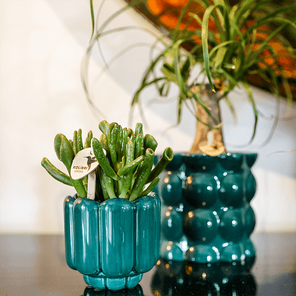 Übertopf Cotton Shine grün Ø9cm – Blumentopf mit Blasenrelief – hochglänzender Retro – Übertopf im 70er – Design – Pflanzenübertopf