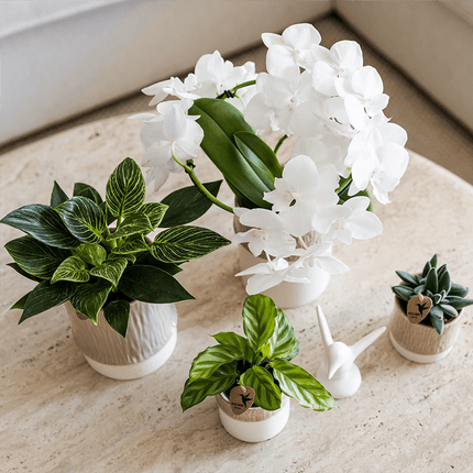Übertopf Tree sand Ø6cm – Mini Blumentopf mit Struktur – neutraler Keramik – Übertopf für kleine Zimmerpflanzen, Orchideen & Sukkulenten