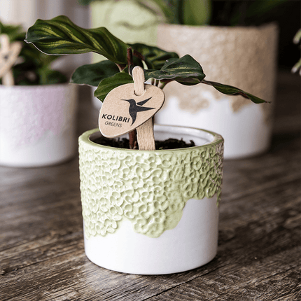 Ziertopf Bloom Green Ø9cm – Dekotopf in sanftem Grün mit Blütenrelief am Rand – kleiner Übertopf für Zimmerpflanzen, Ableger & Kräuter
