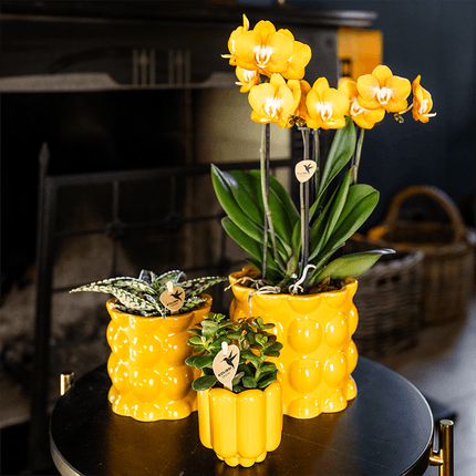 Übertopf Cotton Shine gelb Ø9cm – Blumentopf mit Blasenrelief – hochglänzender Retro – Übertopf im 70er – Design