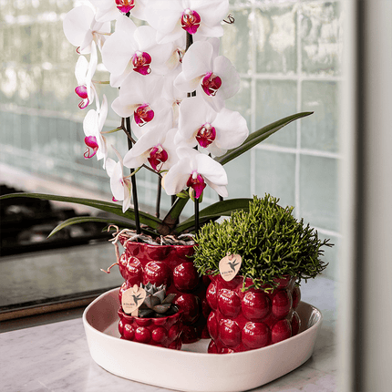 Übertopf Cotton Shine rot Ø9cm – Blumentopf mit Blasenrelief – hochglänzender Retro – Übertopf im 70er – Design