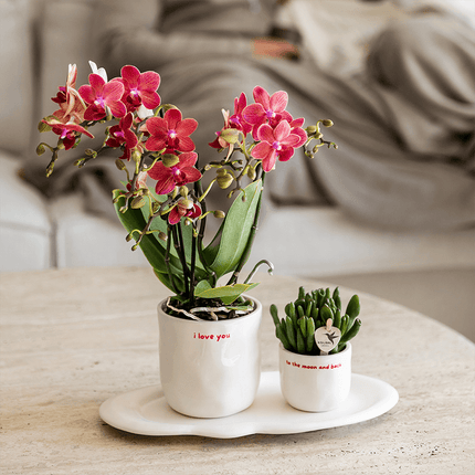 Ziertopf I Love You – Ø6cm – Weißer Keramiktopf mit rotem Schriftzug – Romantischer Blumentopf als Geschenkidee – Pflanztopf für Zuhause & Büro