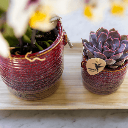 Aura Pflanztopf – Ø6cm – Retro Übertopf im Bold Seventies Stil – Keramik Blumentopf mit Henkeln – Mini – Blumentopf für Orchideen & Grünpflanzen