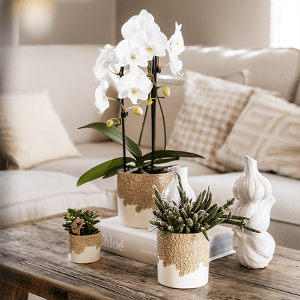 Ziertopf Bloom Sand Ø9cm – Dekotopf in Sandton mit Blütenrelief am Rand – kleiner Übertopf für Zimmerpflanzen, Ableger & Kräuter