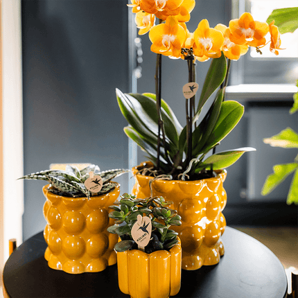 Übertopf Cotton Shine gelb Ø9cm – Blumentopf mit Blasenrelief – hochglänzender Retro – Übertopf im 70er – Design