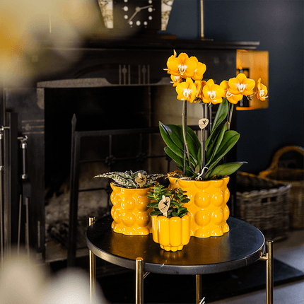 Übertopf Cotton Shine gelb Ø9cm – Blumentopf mit Blasenrelief – hochglänzender Retro – Übertopf im 70er – Design
