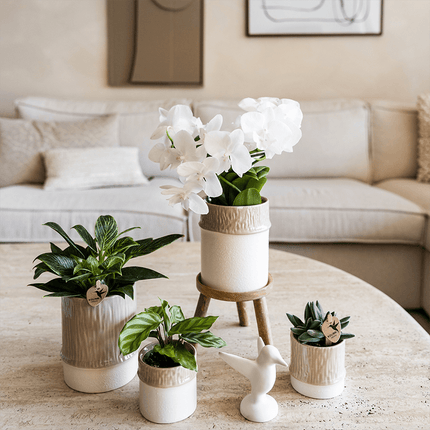 Übertopf Tree sand Ø6cm – Mini Blumentopf mit Struktur – neutraler Keramik – Übertopf für kleine Zimmerpflanzen, Orchideen & Sukkulenten