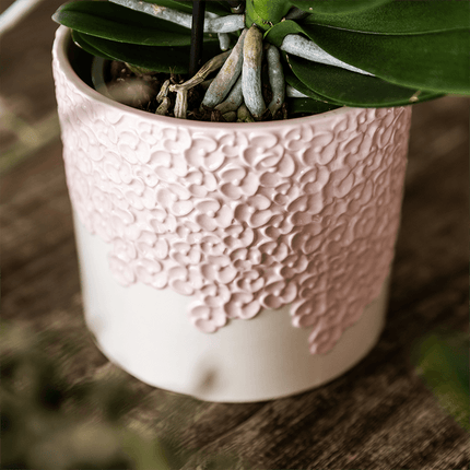 Ziergefäß Bloom Pink – Dekorativer Blumentopf Ø6cm – Romantischer Mini Pflanztopf mit Blütenstruktur – Design Übertopf für Sukkulenten Kakteen & Deko