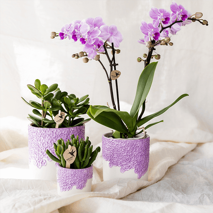 Ziertopf Bloom Lila – Blumentopf Ø9cm – Violetter Übertopf mit Blütenstruktur – Moderner Pflanztopf für Zimmerpflanzen Sukkulenten Kräuter & Deko