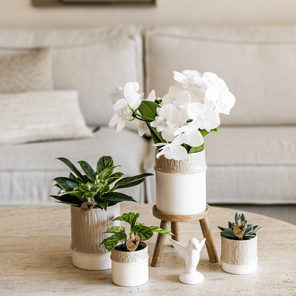 Übertopf Tree sand Ø6cm – Mini Blumentopf mit Struktur – neutraler Keramik – Übertopf für kleine Zimmerpflanzen, Orchideen & Sukkulenten