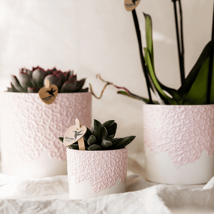 Ziertopf Bloom Pink – Blumentopf Ø9cm – Rosa Übertopf mit Blütenstruktur – Moderner Pflanztopf für Zimmerpflanzen Kräuter Sukkulenten & Deko