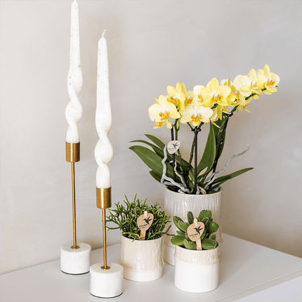 Übertopf Tree Travertine Ø6cm – Mini Blumentopf in Naturstein – Optik – strukturierter Keramik – Übertopf in neutralem Ton