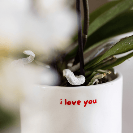 Ziertopf I Love You – Ø9cm – Weißer Keramiktopf mit rotem Schriftzug – Romantischer Blumentopf als Geschenkidee