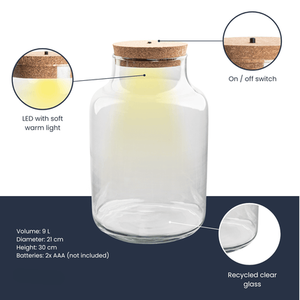 Terrarienflasche Milky mit LED – Korkdeckel – Ø21cm ↕30cm – Glasflasche aus Recyclingglas – ca. 9L Volumen – Ideal für DIY – Terrarien & Mini