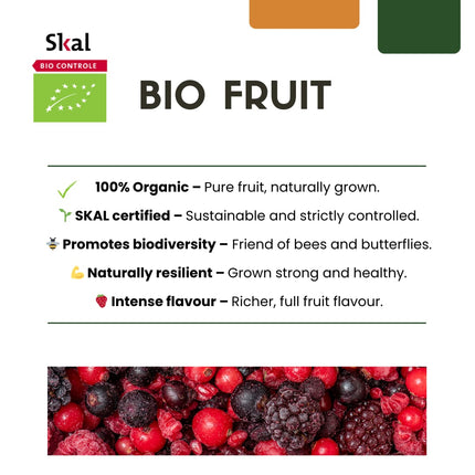 Bio Feigenbaum – Ficus carica – Ø13cm x H20cm – 3 Pflanzen – Selbst Früchte ziehen – Mediterranes Gartenhighlight – Frostbeständig & Pflegeleicht