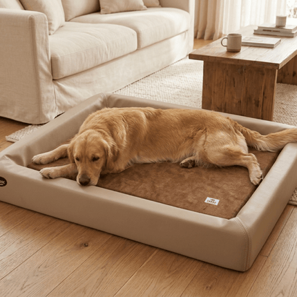 SEO. Orthopädisch-Plus Bundle | KUDDE Hundebett + Mumin Einlage Alltid - moon Linkreich