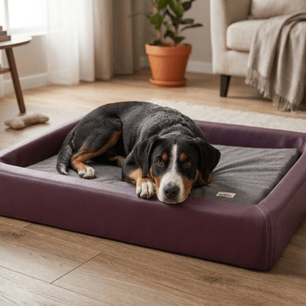 SEO. Orthopädisch-Plus Bundle | KUDDE Hundebett + Mumin Einlage Alltid - brombeer Linkreich