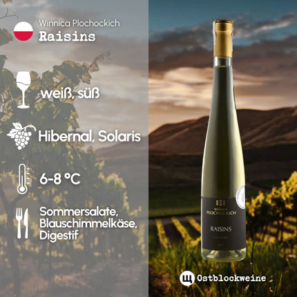 Raisins 2023 - Weißwein natursüß aus Polen - Winnica Plochockich