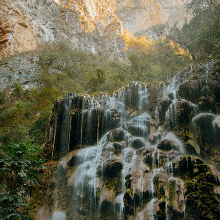 The Nature of Swimming