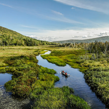 Leaving the Comfort Zone