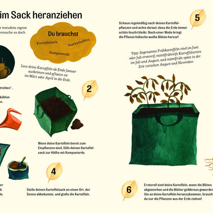 Kleine grüne Daumen