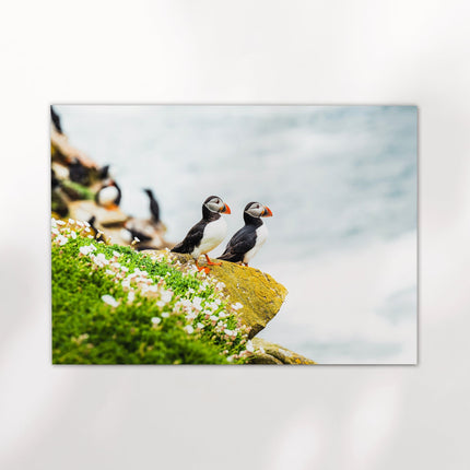 Puffins on Saltee Island – Irish Coastal Wildlife Wall Art