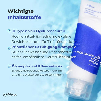 Isntree Hyaluronic Acid Moist Cream 100 ml