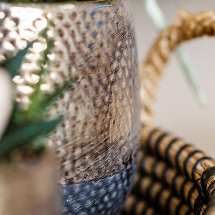 Pflanzenset Home Hub – Weiß blühende Phalaenopsis - Orchidee & 2 Grünpflanzen – inkl. Keramik - Ziertöpfe (Schwarz & Kupfer) – Geschenkset mit Zubehör – Topfgrößen 6cm & 9cm (Plant) kaufen bei Linkreich – Jetzt entdecken!