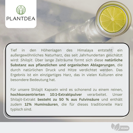 Shilajit Extrakt Kapseln
