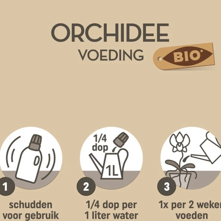 Pokon Bio Orchideenfutter – 250ml – 100% natürliche Pflanzennahrung – Für kräftige, gesunde Orchideen mit tiefgrünen Blättern und üppiger Blüte – Flüssigdünger NPK 3 - 2 - 5 (Plant) kaufen bei Linkreich – Jetzt entdecken!