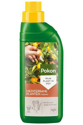Pokon Mediterrane Pflanzennahrung – Flüssigdünger für Olivenbäume, Zitruspflanzen & Lavendel – NPK Dünger mit Magnesium – 500ml (Plant) kaufen bei Linkreich – Jetzt entdecken!