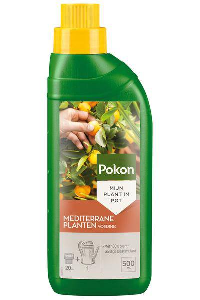 Pokon Mediterrane Pflanzennahrung – Flüssigdünger für Olivenbäume, Zitruspflanzen & Lavendel – NPK Dünger mit Magnesium – 500ml (Plant) kaufen bei Linkreich – Jetzt entdecken!